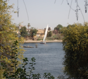 10629-290x260.jpg