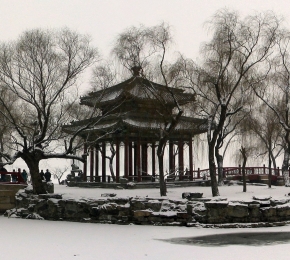 11593-290x260.jpg