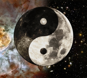 11770-290x260.jpg