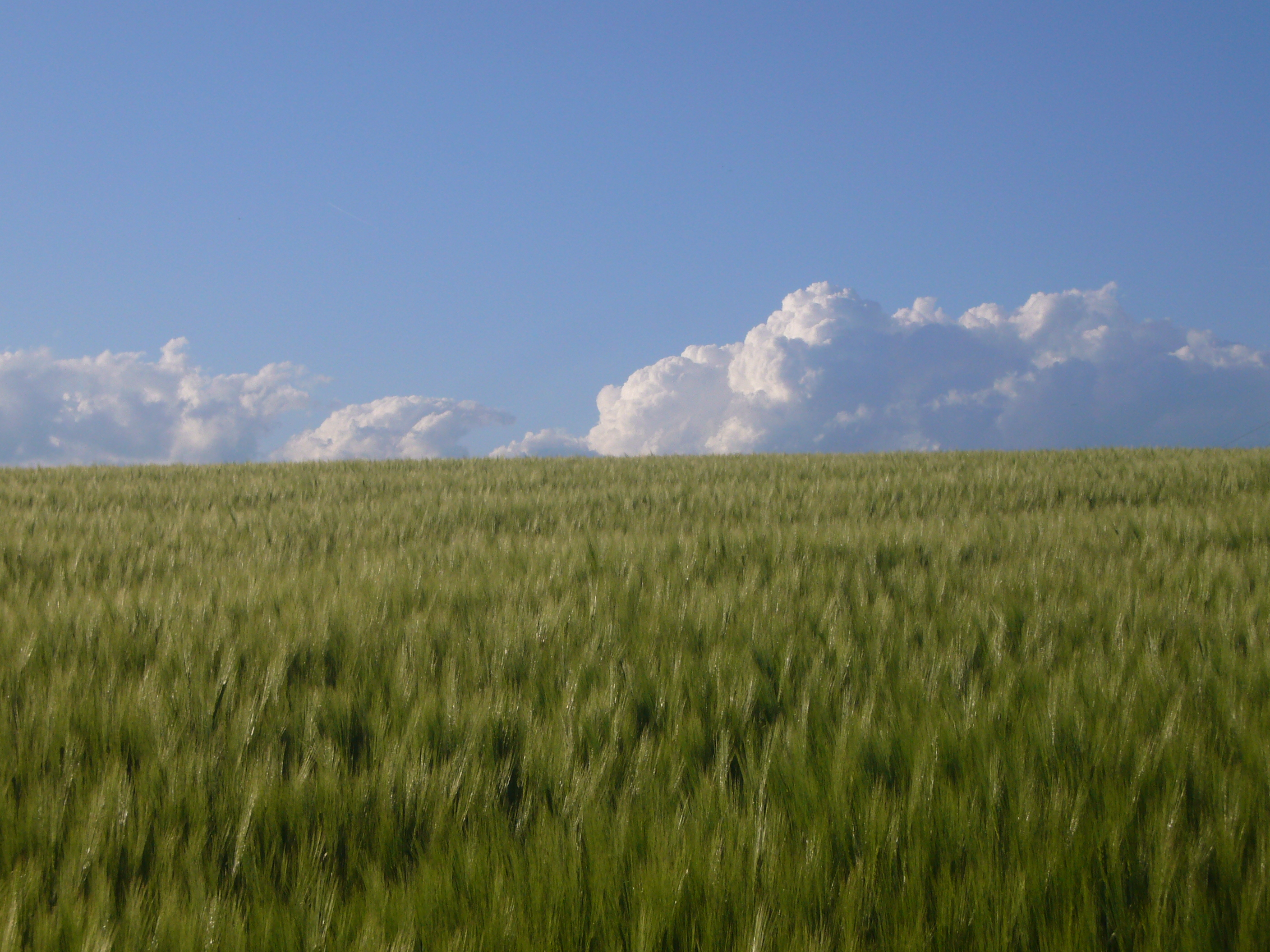 Foto bij Chapter 12: Valediction