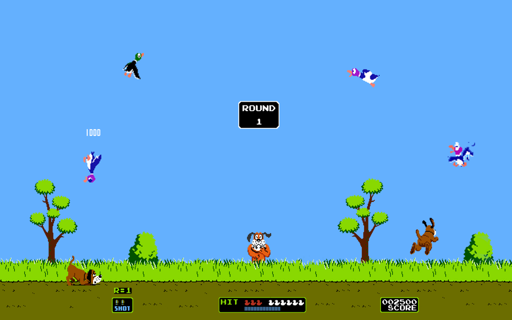 duck hunt pictures