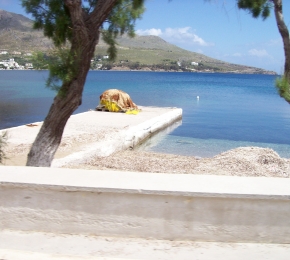 paesaggio greco (C) retesociale teso