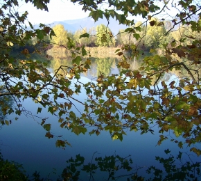 colori d'autunno (C) luciano seo