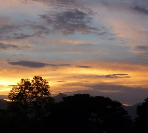 18263-290x260.jpg