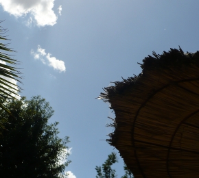19608-290x260.jpg