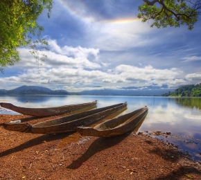 20691-290x260.jpg