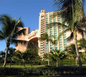 21029-290x260.jpg