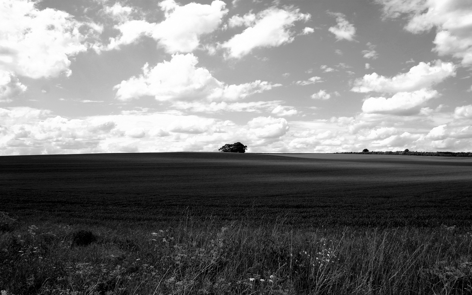 black and white landscape by i dunno - Desktop Wallpaper