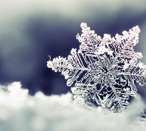 Snowflake - Desktop Wallpaper