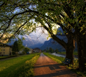 Peaceful Road - Desktop Wallpaper