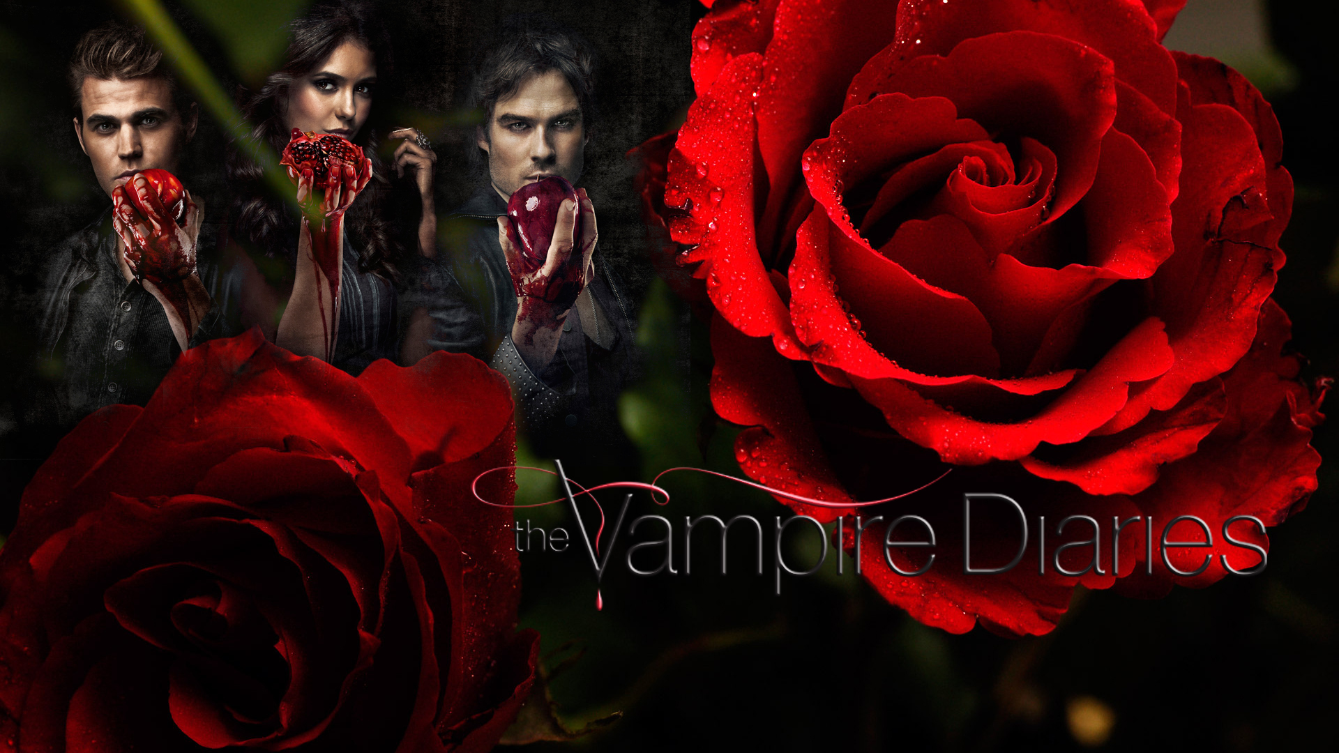 Vampire Diaries Season 3 Desktop Wallpaper