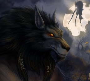 34883-290x260.jpg