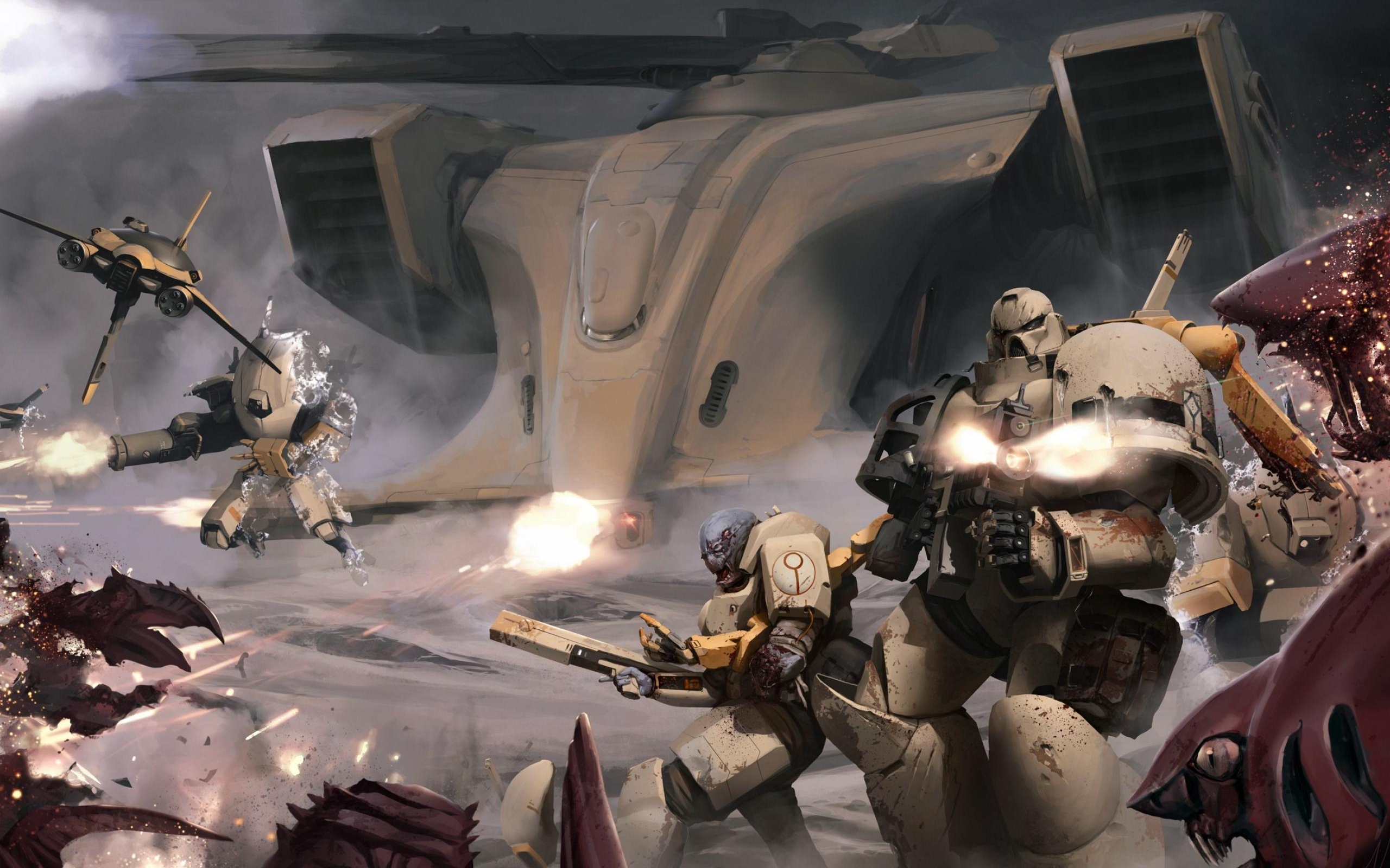 35564-2560x1600.jpg