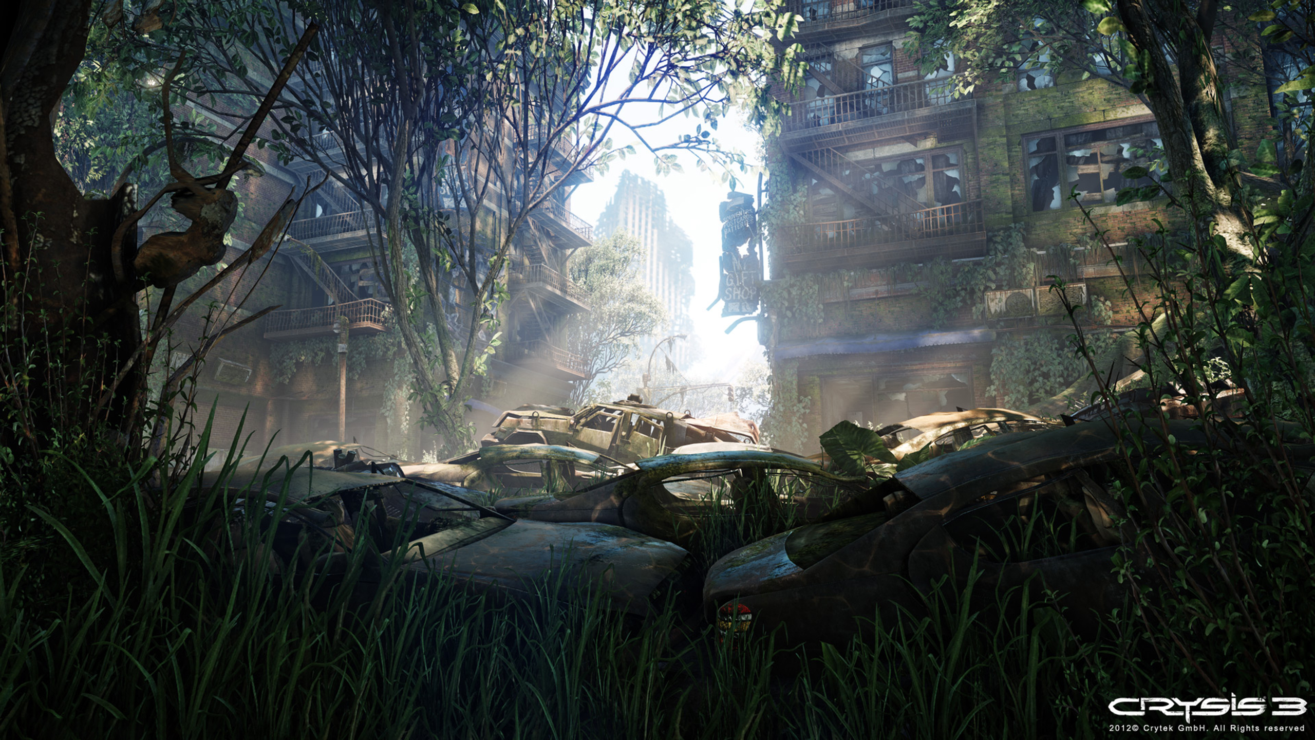 35769-2560x1440.jpg