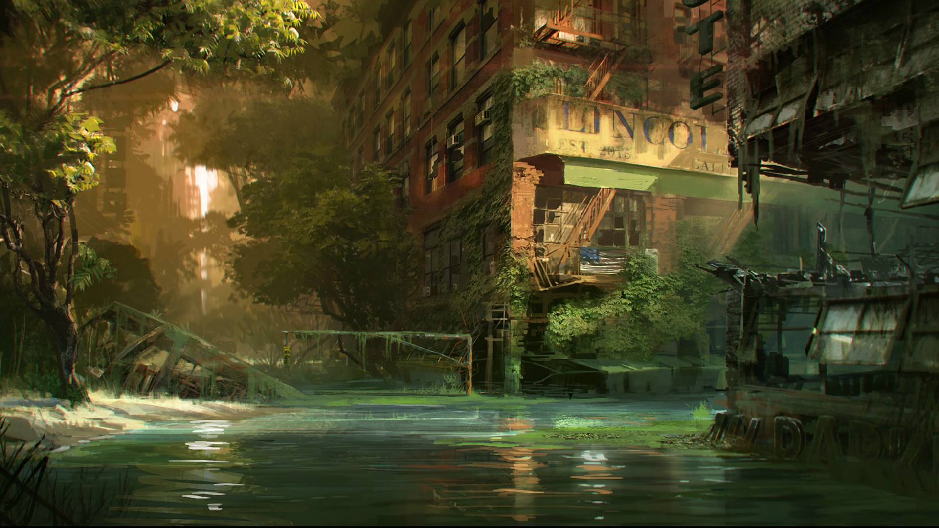 35781-1920x1080.jpg