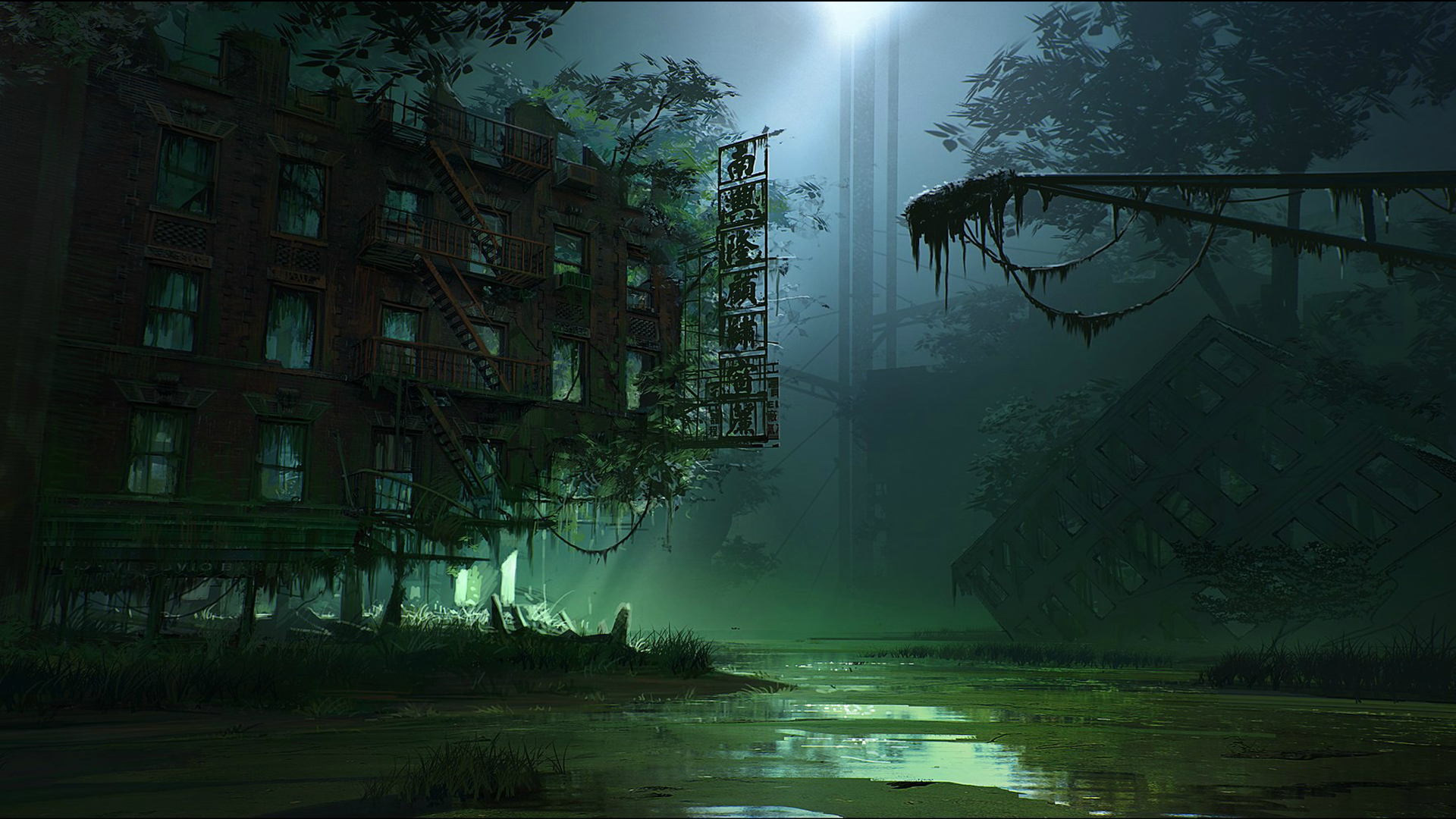 35782-1920x1080.jpg