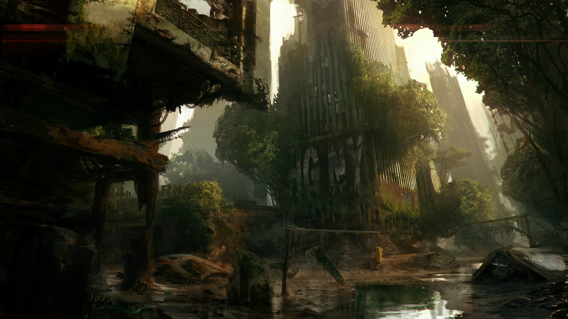 35783-1920x1080.jpg