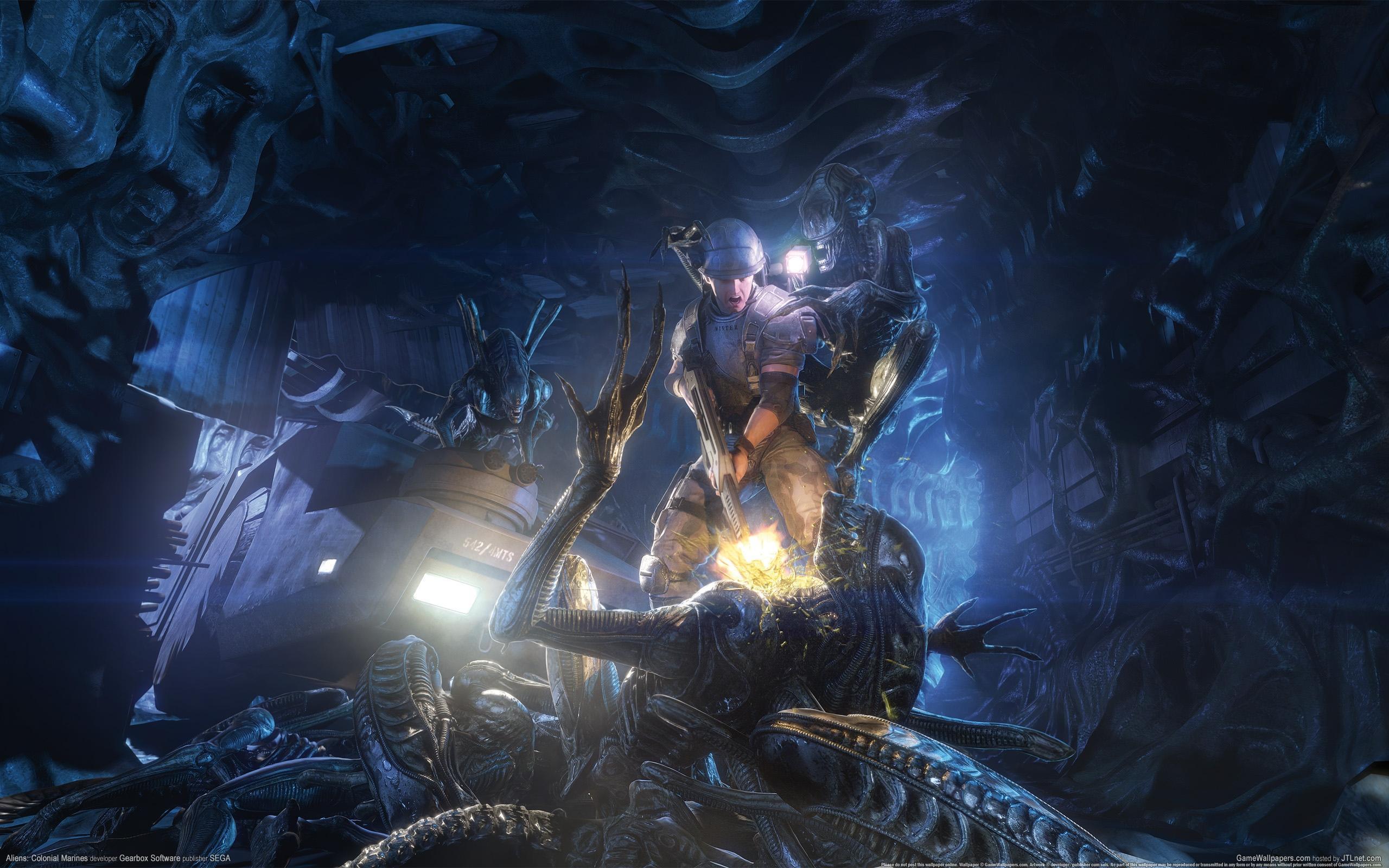 36114-2560x1600.jpg
