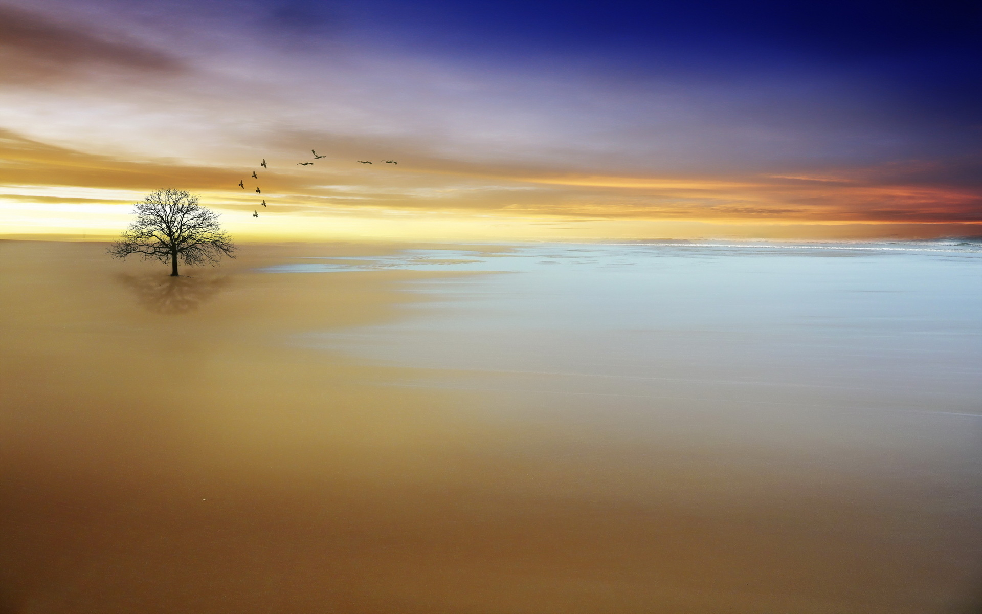 Tranquility Wallpaper Imgkid Com The Image Kid Has It HD Wallpapers Download Free Map Images Wallpaper [wallpaper376.blogspot.com]