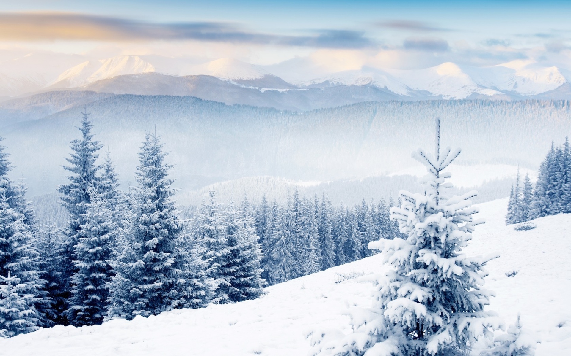 winter scenes - Desktop Wallpaper