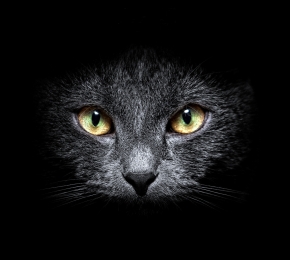 Rivet One's Eyes (C) Oleg Ilin behance