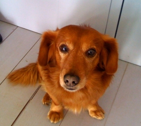 Hb - Desktop Wallpaper