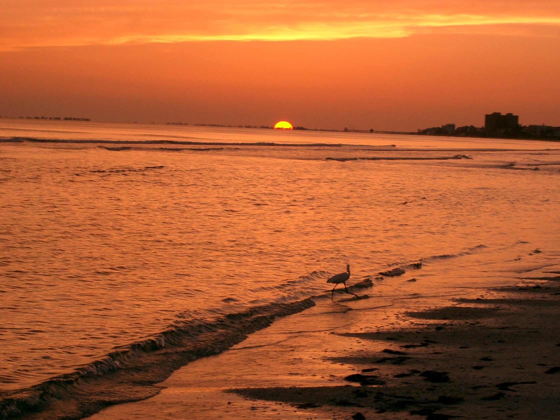 Fort Myers Beach, Florida 2 by Gary Shell - Desktop Wallpaper