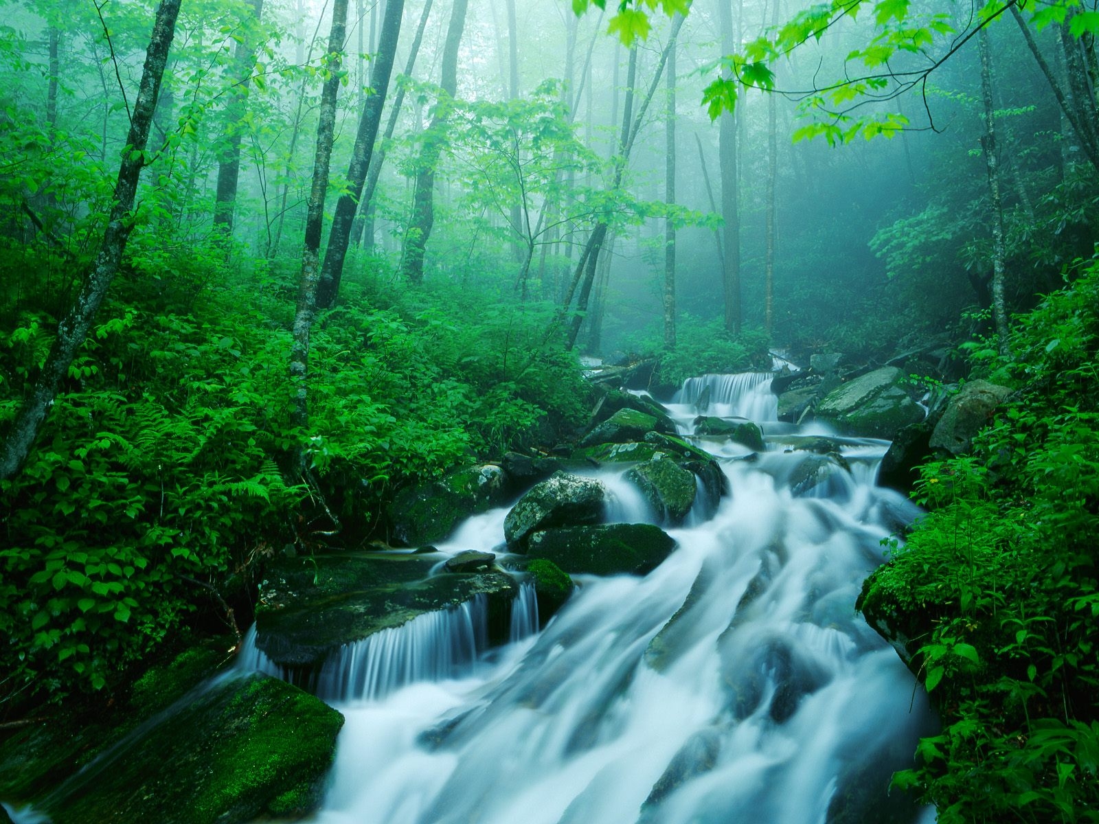 Kentucky Summer Desktop Wallpaper