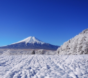 o - Desktop Wallpaper