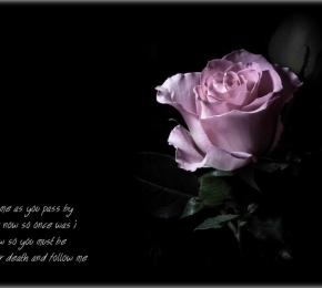 Memento Mori - Desktop Wallpaper