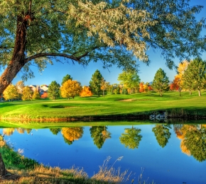 Free computer wallpapers for download in hd for desktops and laptops Desktop Wallpaper