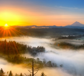 wallpaper - Desktop Wallpaper