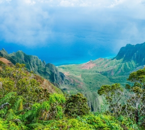 Wallpaper - Desktop Wallpaper