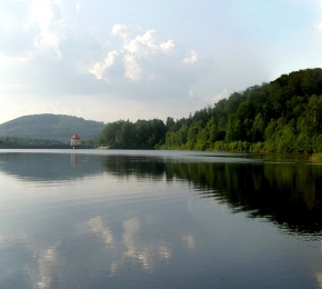 7506-290x260.jpg