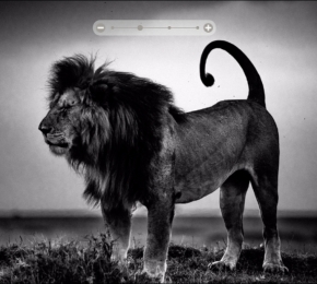 g - Desktop Wallpaper