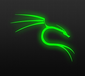 Kali Linux Wallpaper 4K - Desktop Wallpaper