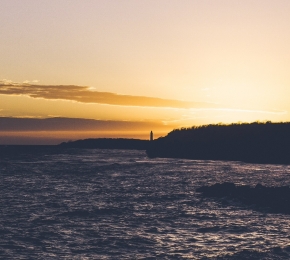 77075-290x260.jpg