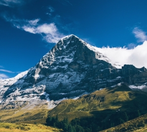 77102-290x260.jpg
