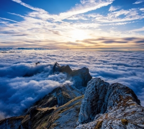 77125-290x260.jpg