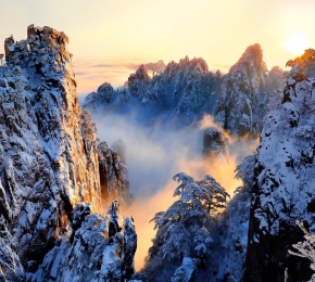 77126-290x260.jpg