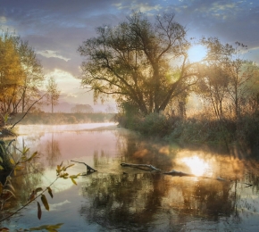 77148-290x260.jpg