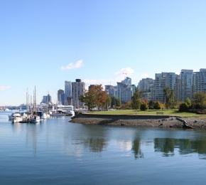 7904-290x260.jpg