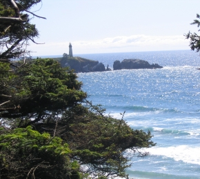 9539-290x260.jpg