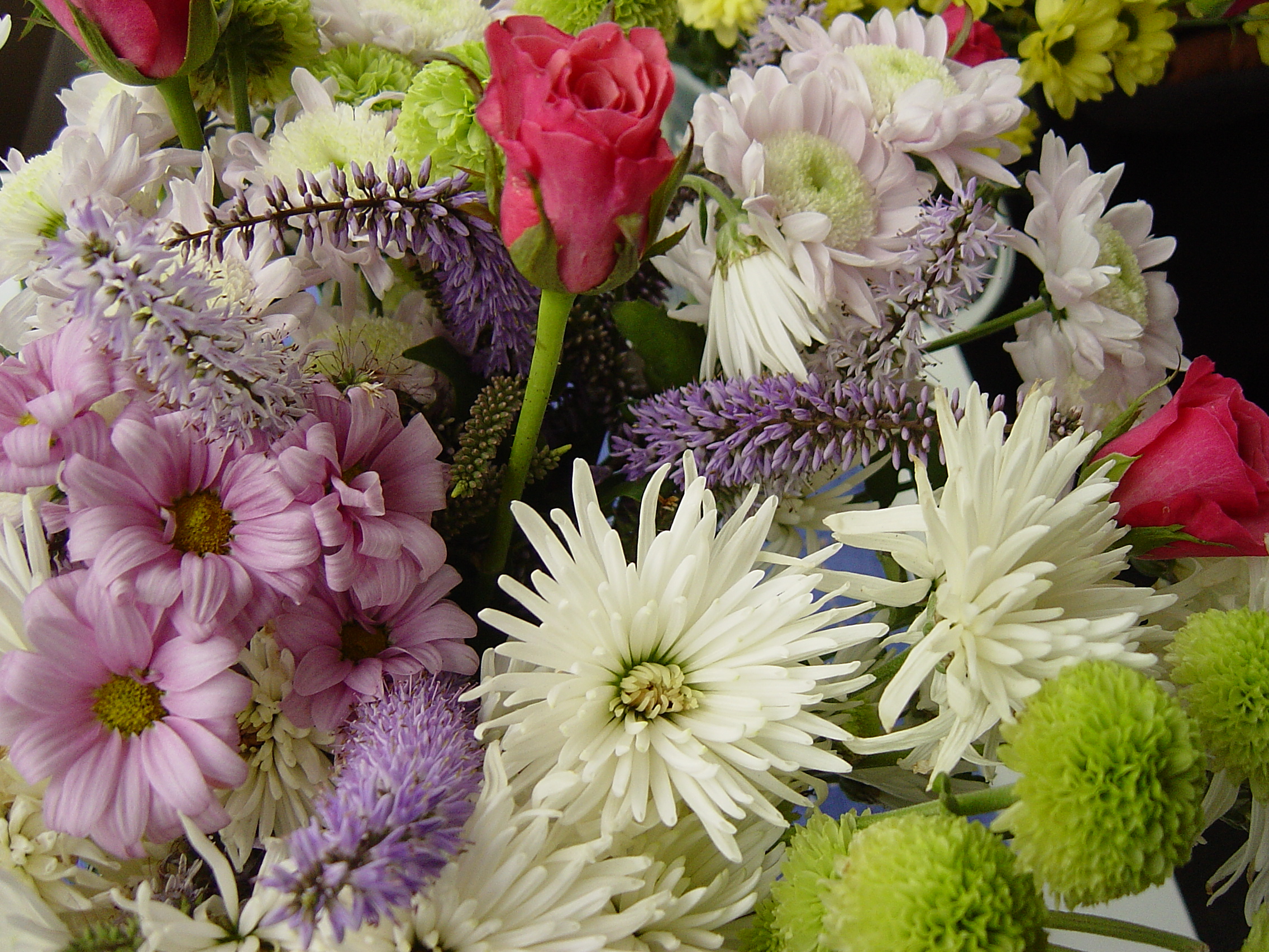 Mixed Flowers by smithee Desktop Wallpaper