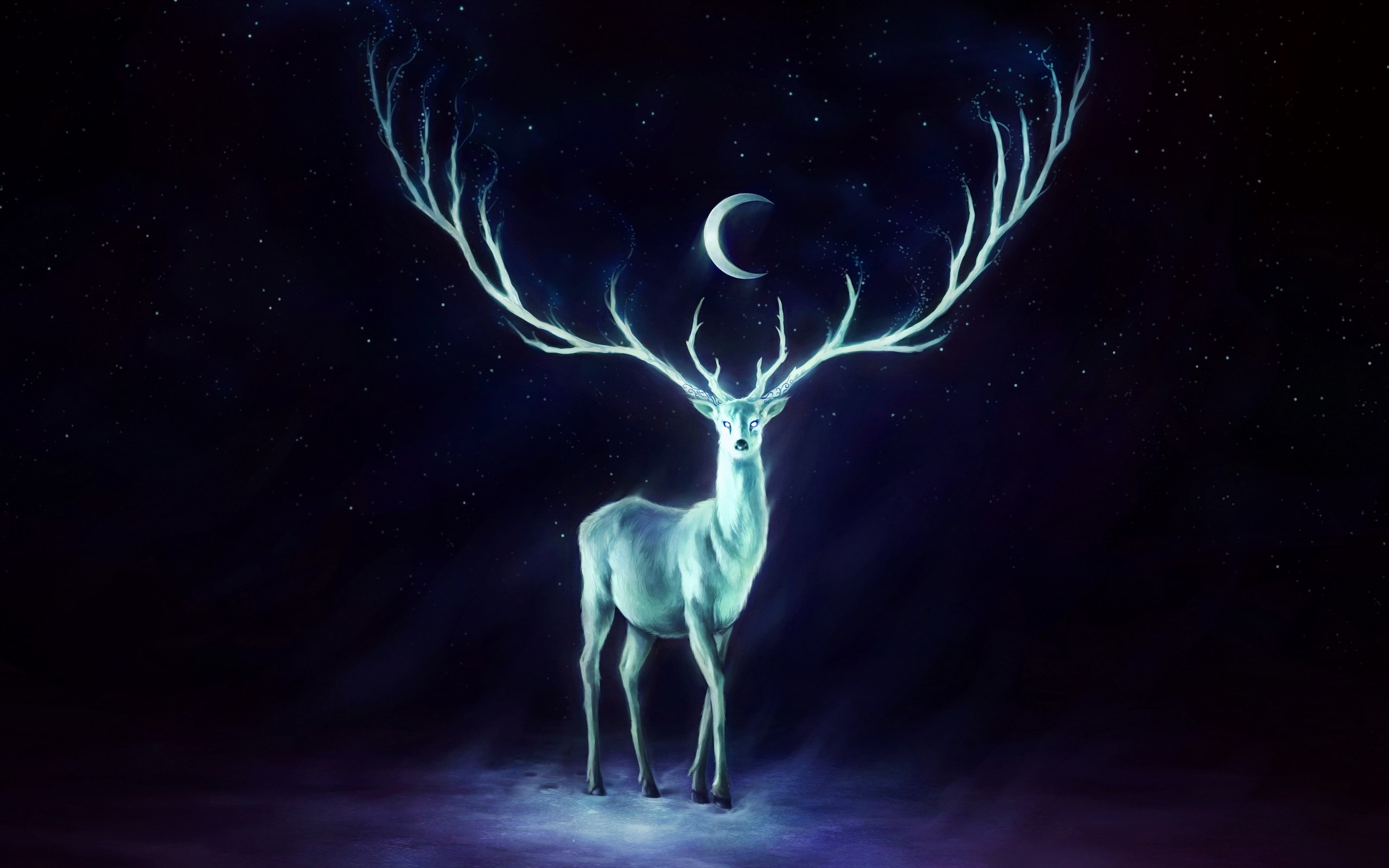 25296-2560x1600.jpg