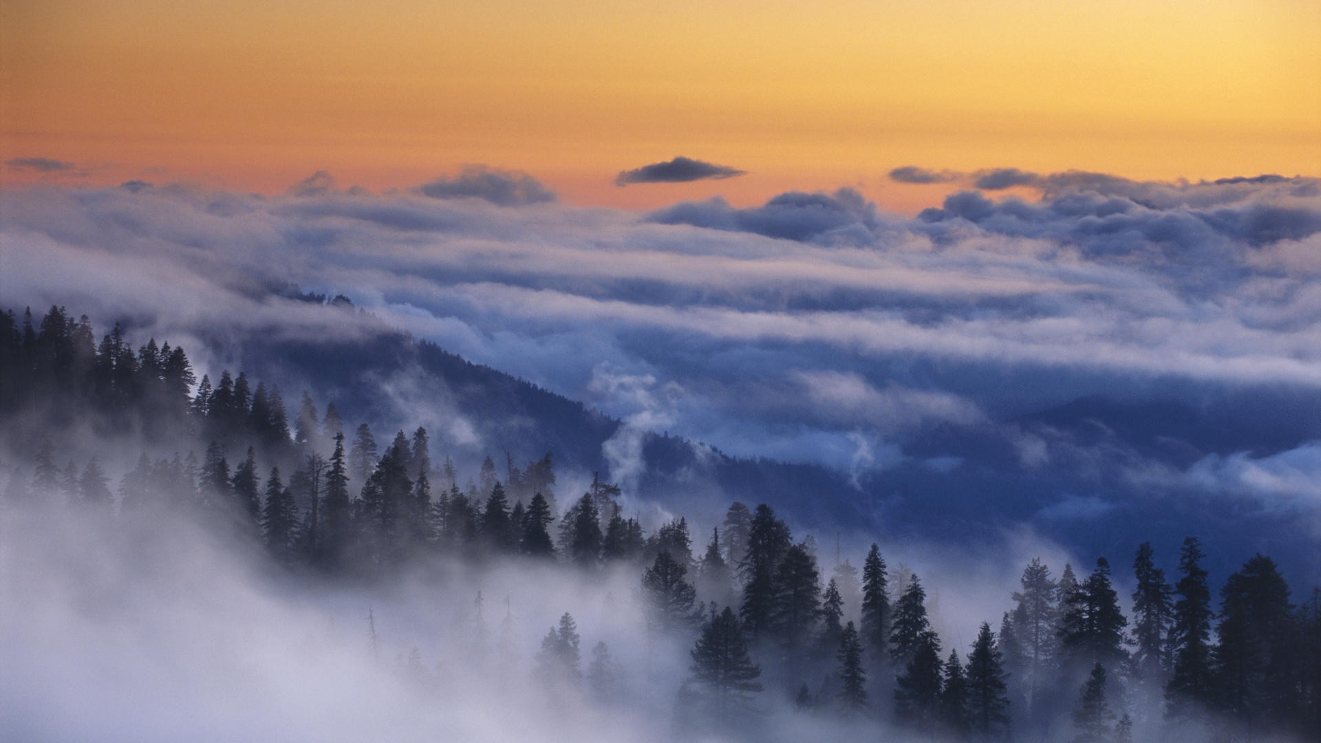природа горы облака высота деревья без смс