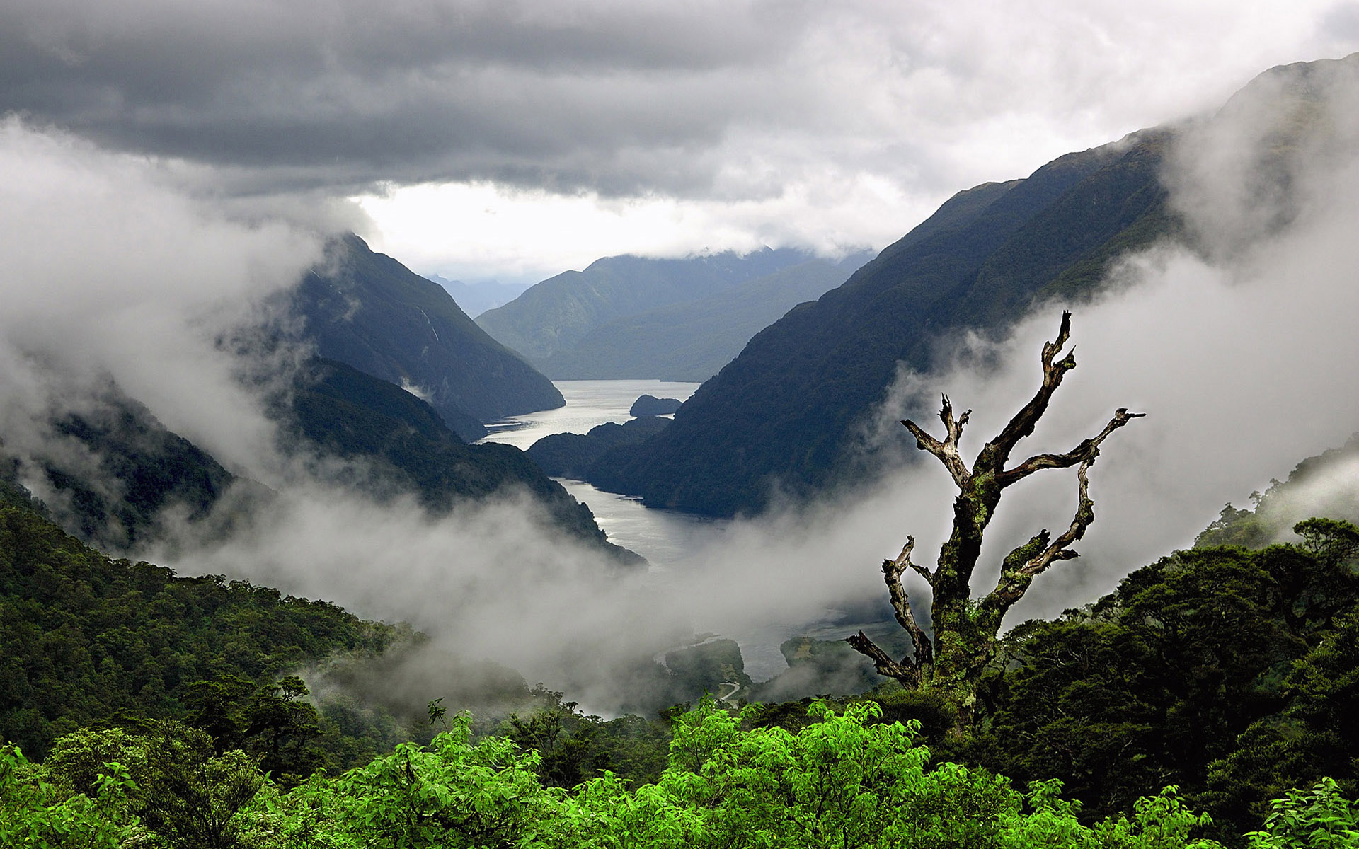 Doubtful Sound, New Zealand By SkyHigh