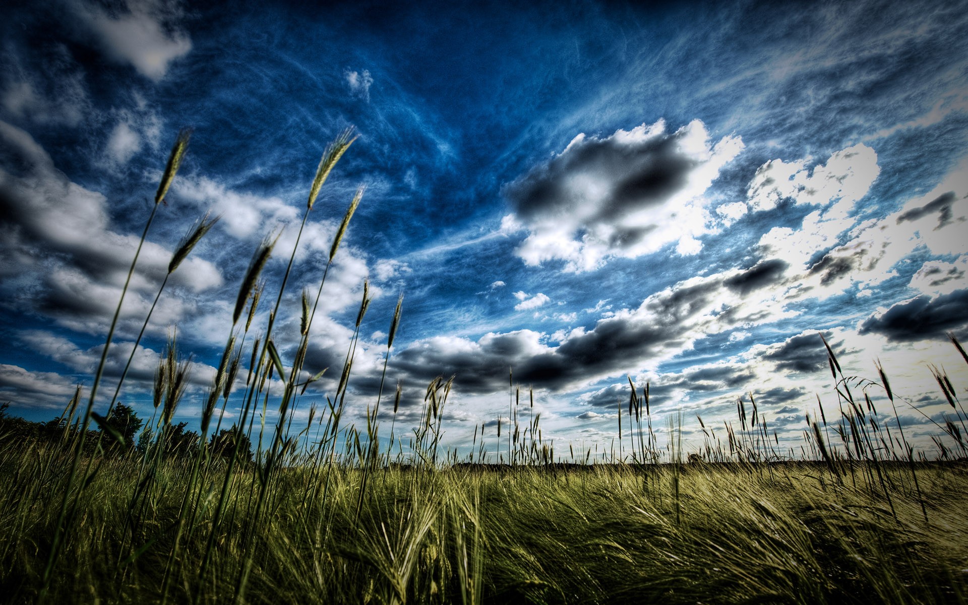 природа поле пшеница небо облака nature field wheat the sky clouds скачать