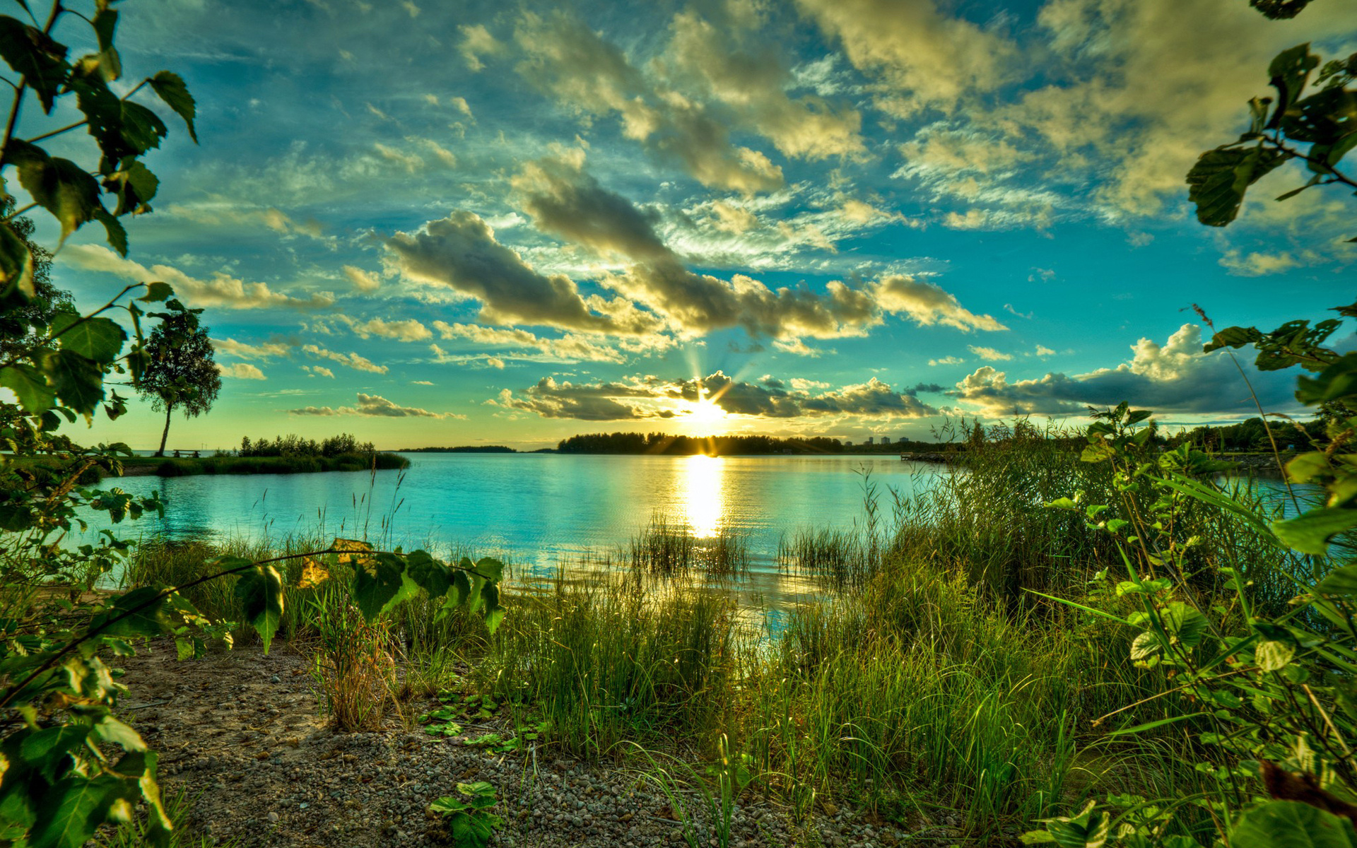 озеро зелень деревья лето the lake greens trees summer бесплатно