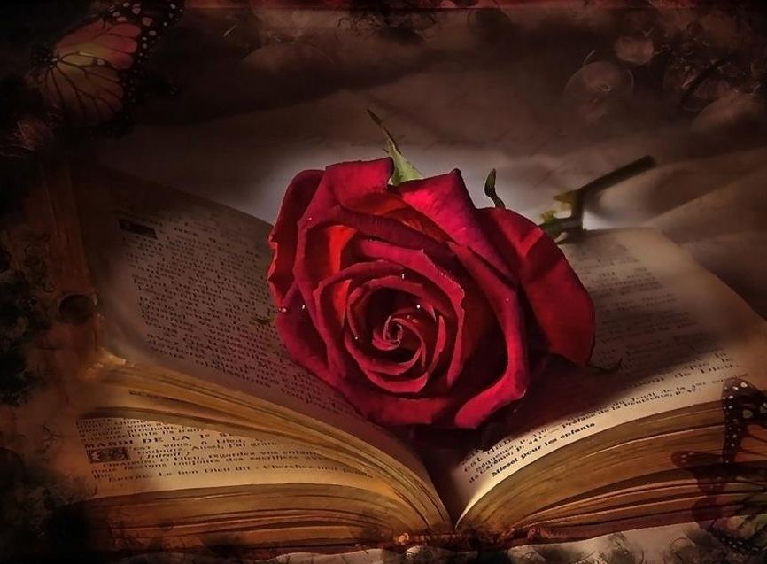 True best sale love wallpaper
